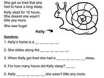 First Grade Reading Comprehension Passages