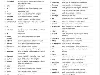 MESSALINA WJCE GCSE LATIN LITERATURE: NARRATIVES 9542 - Brief Notes on Grammar