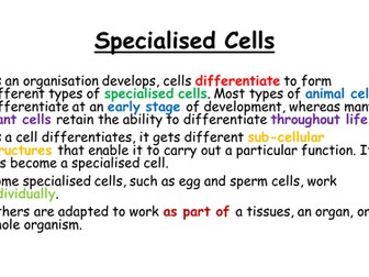 AQA B1.4 & 1.5 Specialisation In Animal & Plant Cells