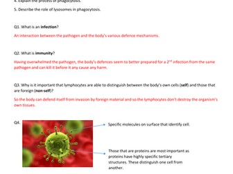 AQA A Level Biology Defence Mechanisms & Phagocytosis Worksheet & Answers