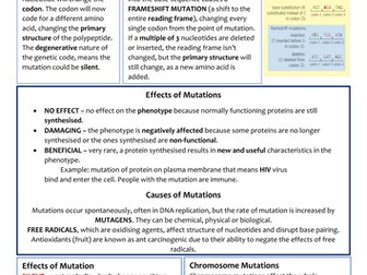 Biology A-Level OCR Revision Notes - Genetics of Living Systems