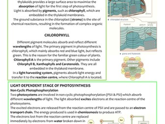 Biology A-Level OCR Revision Notes - Photosynthesis and ATP Synthesis