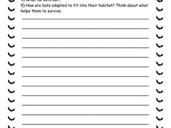 Nocturnal Animals Activities x2 (Year 2 Science)
