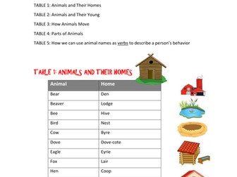 Vocabulary For writing - All About Animals