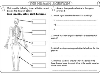 Year 3 and 4 Science Worksheets with Complimentary Posters ...