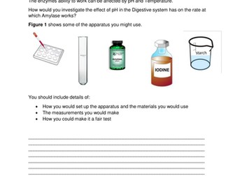 Enzymes 6 mark question Required Practical