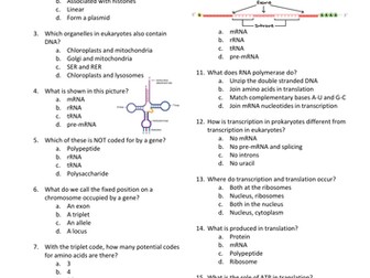 Genetic Code Previous Knowledge MCQ - 15 Questions