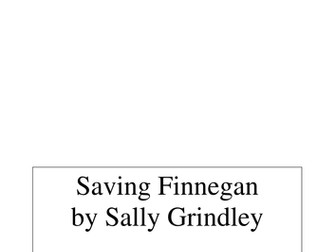 Saving Finnegan Read and Respond