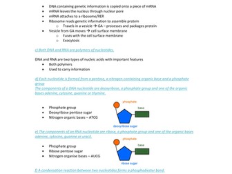 AQA Biology Nucleic Acids Notes for new spec