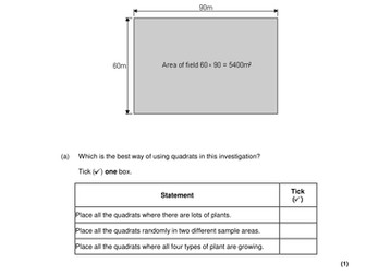 Quadrats- GCSE