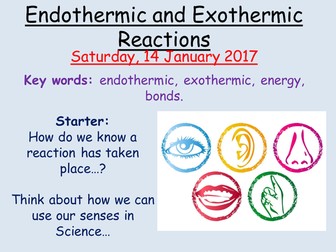 Endothermic and Exothermic Reactions