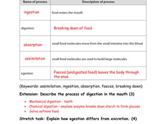 GCSE Biology - Human Nutrition and Digestion Worksheet (with answers)
