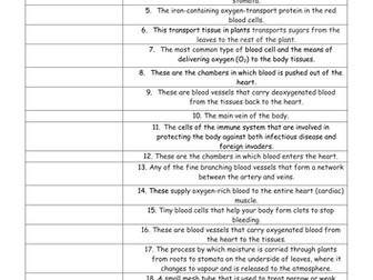 AQA Organising Animals & Plants Topic Key Terms Sheet