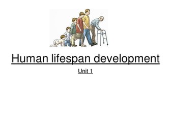 Human lifespan development