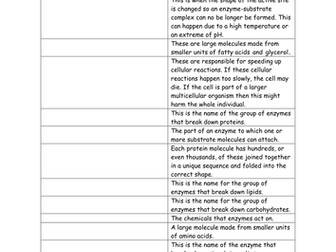 Enzymes Key Terms Worksheet