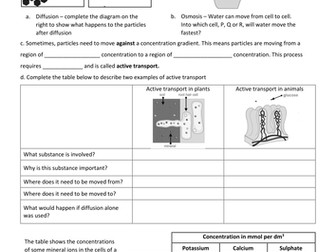 Active transport worksheet