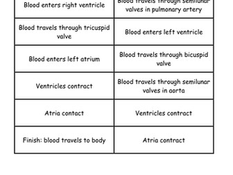 NEW AQA AS Biology 7.5 The cardiac cycle