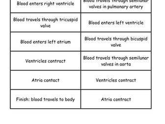 NEW AQA AS Biology 7.5 The cardiac cycle