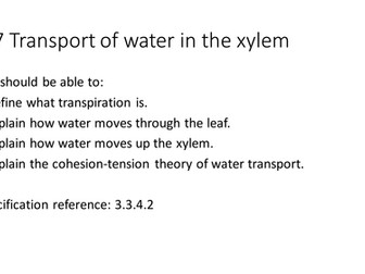 NEW AQA AS Biology 7.7 Transport of water in the xylem