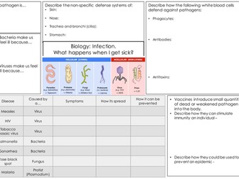 AQA Biology 2018 Infection Revision mat