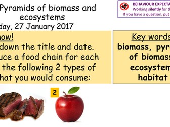 Pyramids of numbers and biomass KS3 or KS4