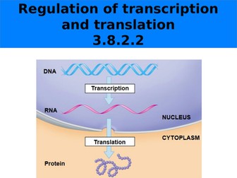 Regulation of transcription and translation_AQA_7402_Yr13
