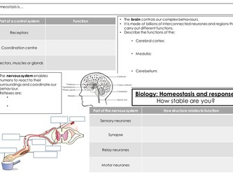 AQA Biology 2018 Homeostasis and response revision mat