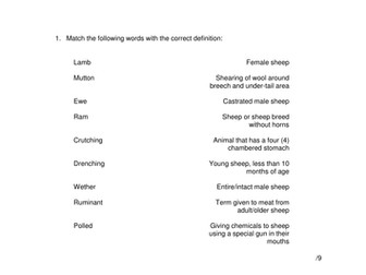 Agriculture: Sheep Topic Test for Year 8-9