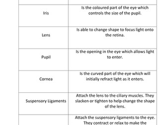 The Eye (Edexcel Biology 9-1)
