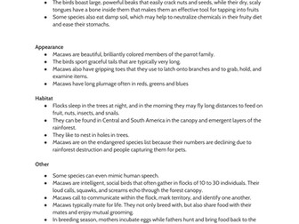 Big Write: Non-Chronological Reports Amazon Animals Year 6 Year 5