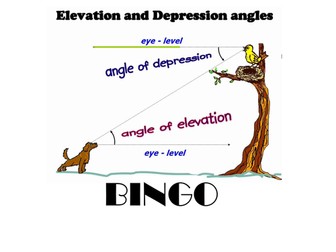 Bingo - Angles of elevation and depression