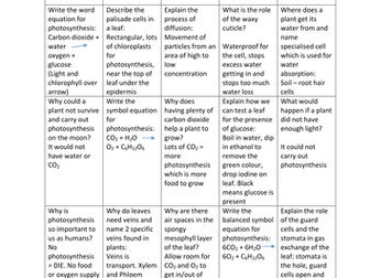 Photosynthesis revision questions