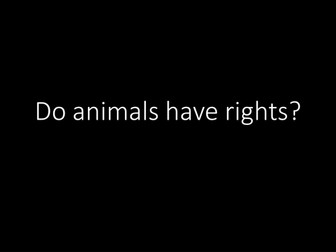 animal rights and responsibilities