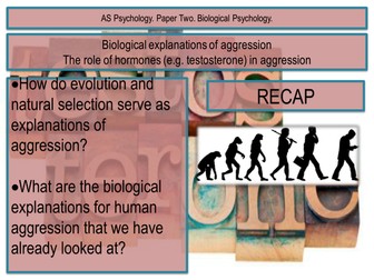 Hormones and Aggression. Biological Psychology.