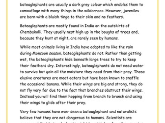 Non Chronological Report Example Text