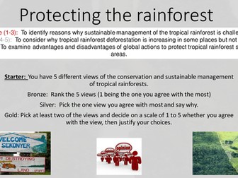 Protecting the rainforest