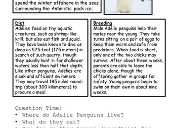 Comprehension Booster - Activity