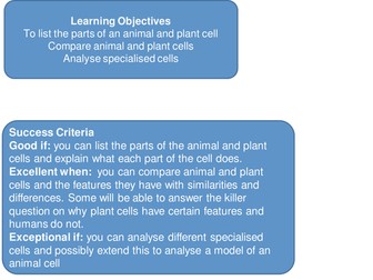 Plant and Animal Cells KS3