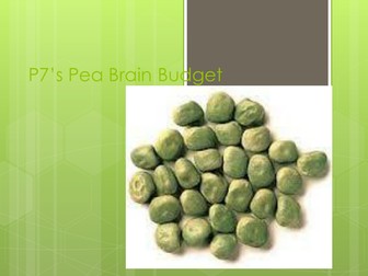 An upper KS2 budgeting activity.