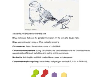 Genetics and mutation glossary