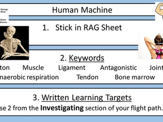 Bone Composition Investigation