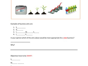 Business Aims and Objectives