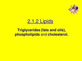 OCR A level Biology 2.1.2 Lipids