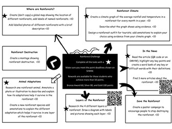 Rainforest Homework Project