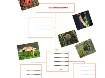 Heterotrophic plants