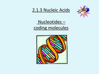 OCR A level Biology module 2.1.3 Nucleic Acids