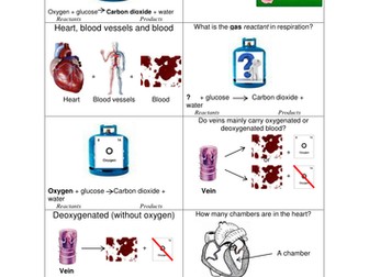 VCERT - Body Systems - Circulatory System