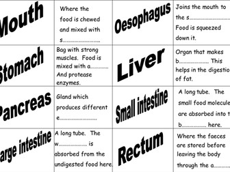 VCERT - Body Systems - Nervous System & Digestive System