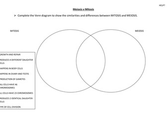 Venn diagram- compare mitosis and meiosis