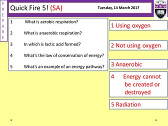 Response to exercise